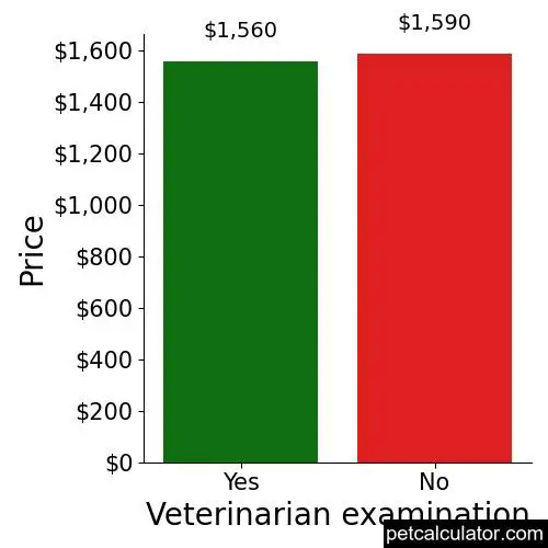 Price of Boston Terrier by Veterinarian examination 