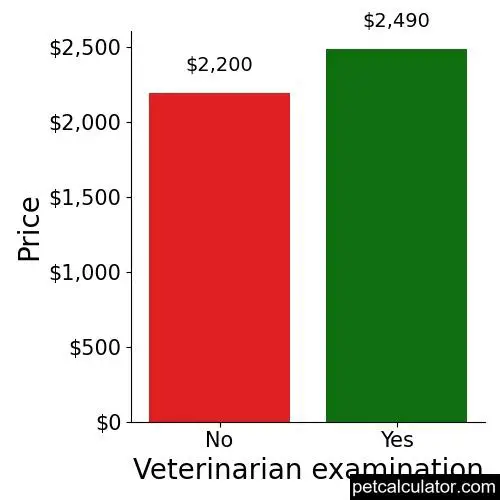 Price of Brussels Griffon by Veterinarian examination 