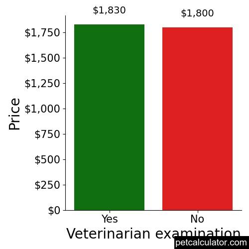 Price of Bull Terrier by Veterinarian examination 