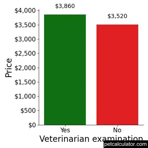 Price of Bulldog by Veterinarian examination 