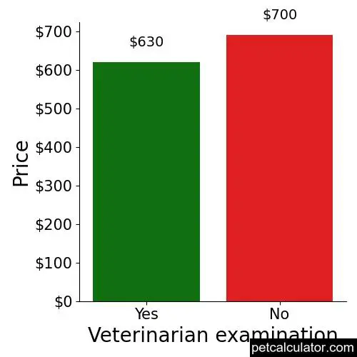 Price of Catahoula Leopard Dog by Veterinarian examination 