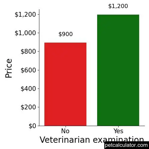 Price of Chi-Poo by Veterinarian examination 