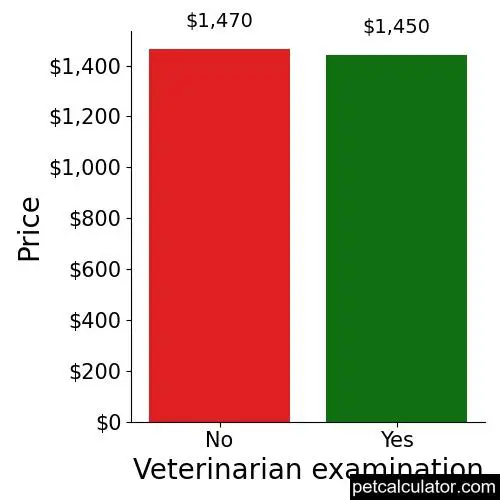 Price of Dutch Shepherd by Veterinarian examination 
