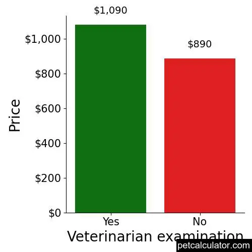 Price of English Setter by Veterinarian examination 