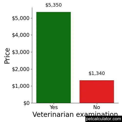 Price of Field Spaniel by Veterinarian examination 