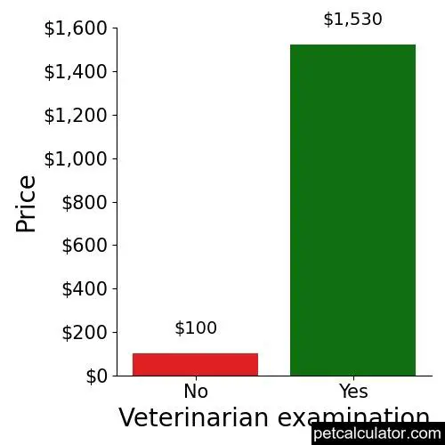 Price of Flat-Coated Retriever by Veterinarian examination 