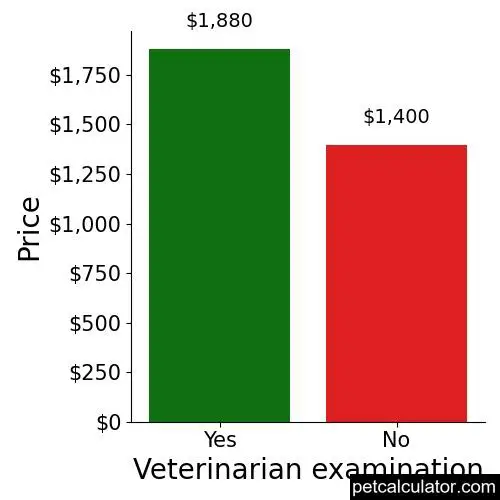 Price of Frenchie Pug by Veterinarian examination 
