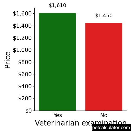 Price of Great Dane by Veterinarian examination 