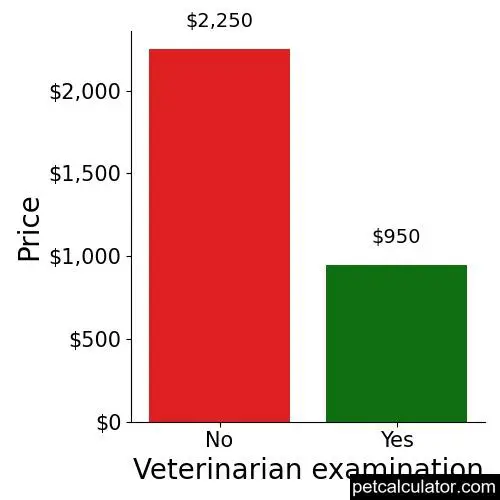 Price of Harlequin Pinscher by Veterinarian examination 