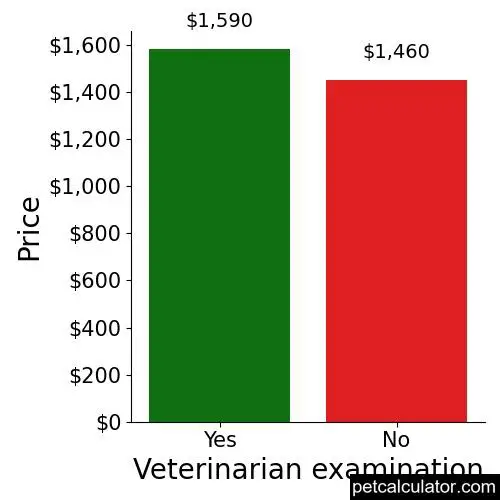 Price of Irish Setter by Veterinarian examination 