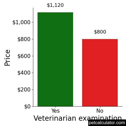 Price of Irish Terrier by Veterinarian examination 