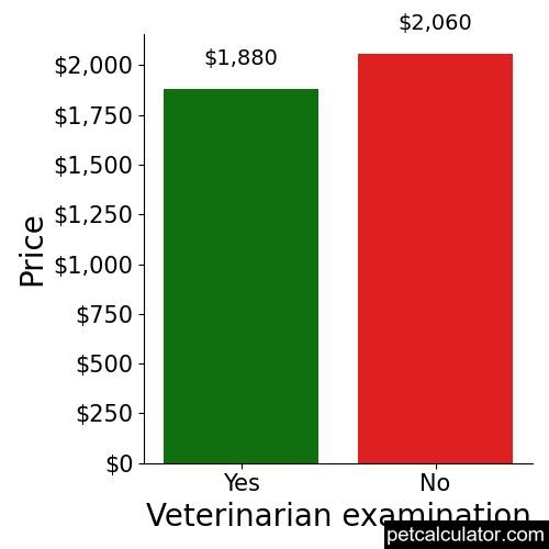 Price of Italian Greyhound by Veterinarian examination 