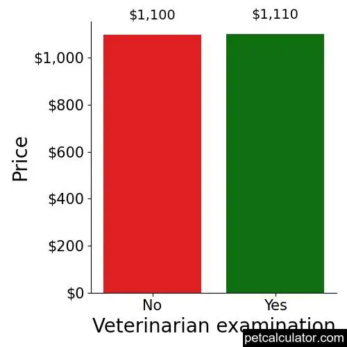 Price of Jack Russell Terrier by Veterinarian examination 