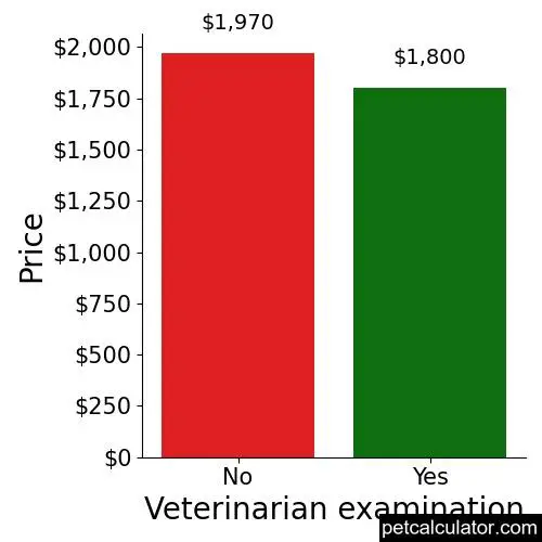 Price of King Shepherd by Veterinarian examination 