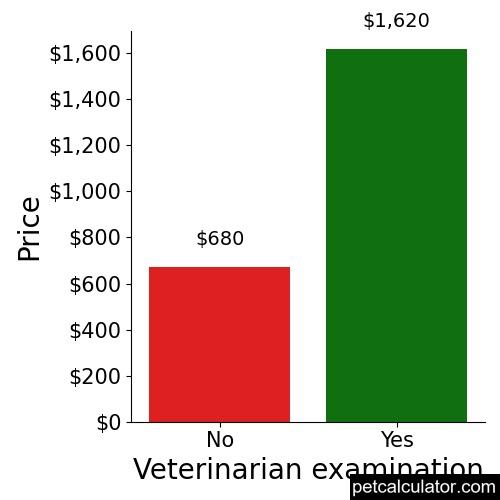 Price of Komondor by Veterinarian examination 