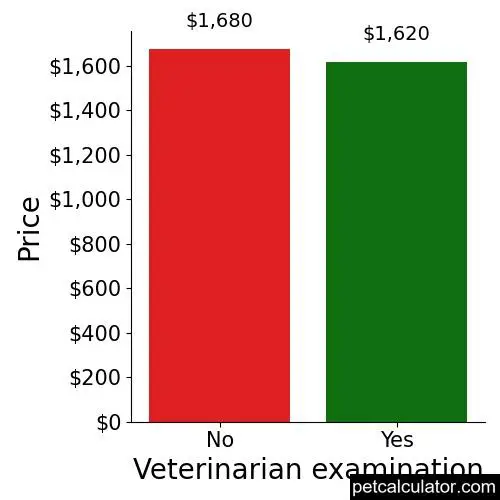 Price of Labradoodle by Veterinarian examination 