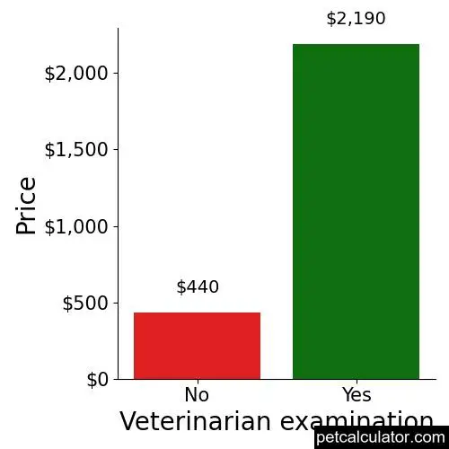 Price of Leonberger by Veterinarian examination 