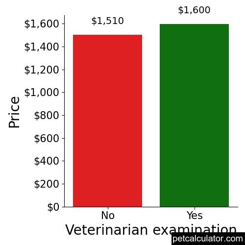 Price of Lhasa Apso by Veterinarian examination 