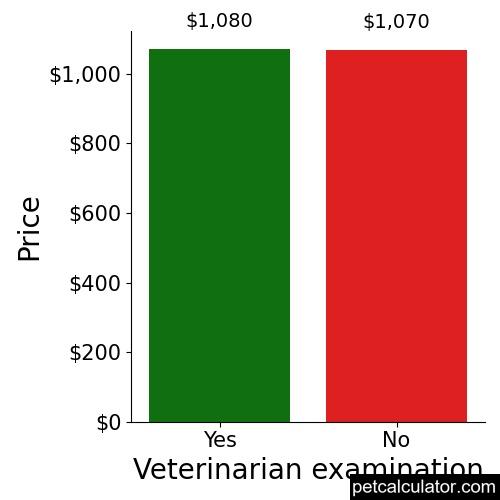 Price of Lhasapoo by Veterinarian examination 