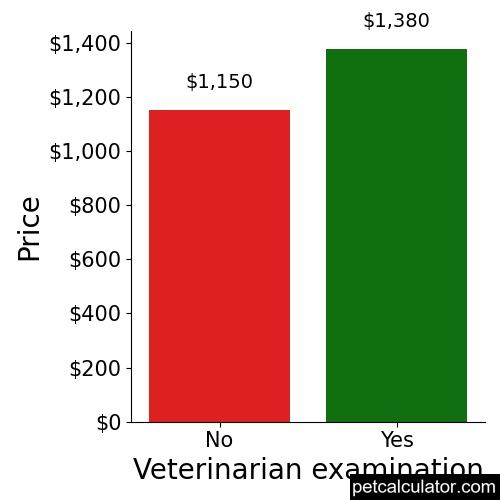 Price of Miniature American Eskimo by Veterinarian examination 