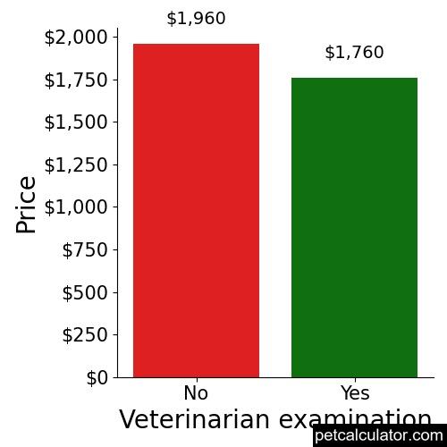 Price of Miniature American Shepherd by Veterinarian examination 