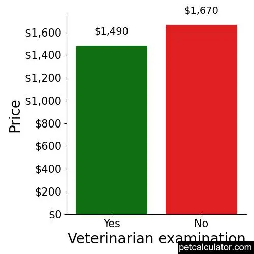 Price of Miniature Australian Shepherd by Veterinarian examination 