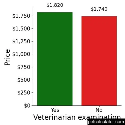 Price of Miniature Bulldog by Veterinarian examination 