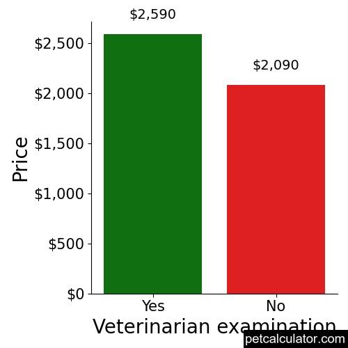 Price of Miniature Poodle by Veterinarian examination 