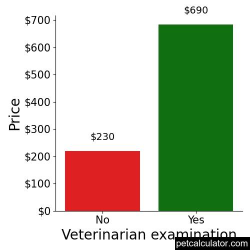 Price of Mountain Feist by Veterinarian examination 