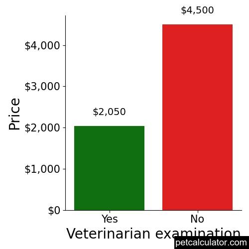 Price of Norwich Terrier by Veterinarian examination 
