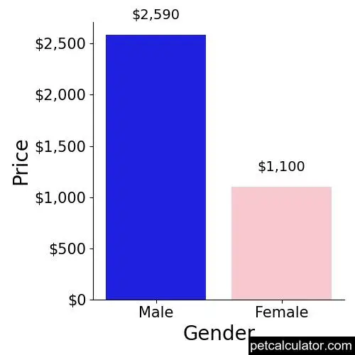 Price of Affenpinscher by Gender 