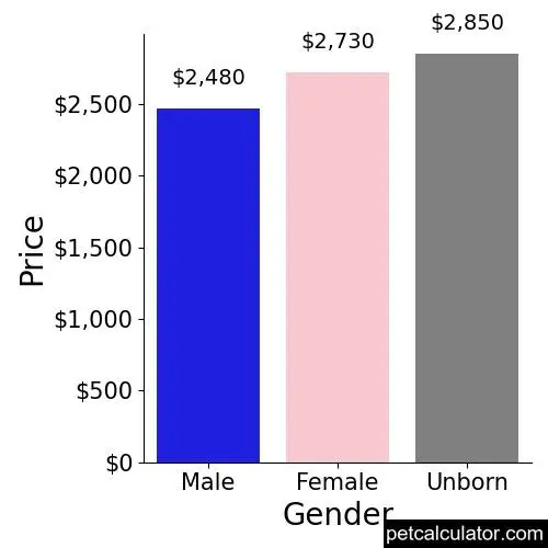 Price of Afghan Hound by Gender 