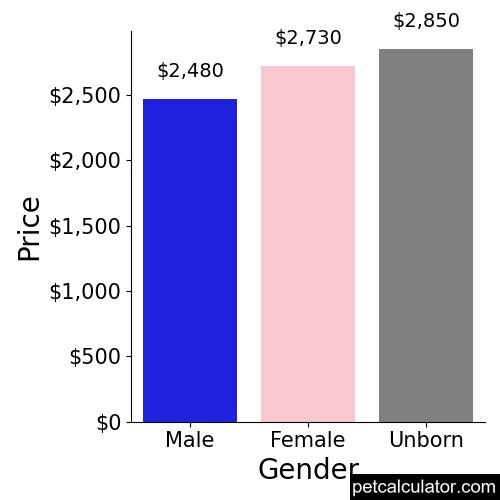 Price of Afghan Hound by Gender 