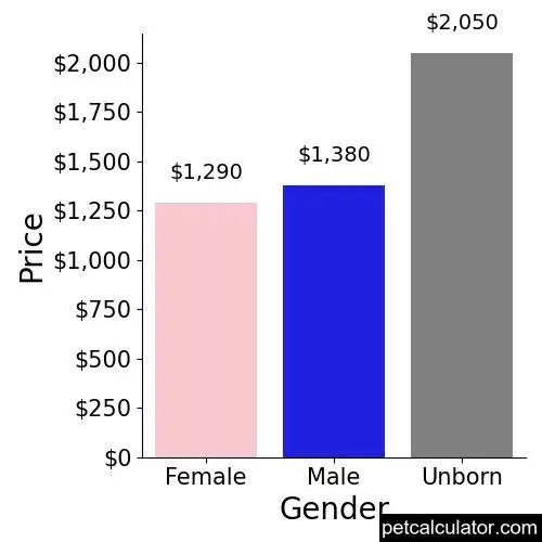 Price of Airedale Terrier by Gender 