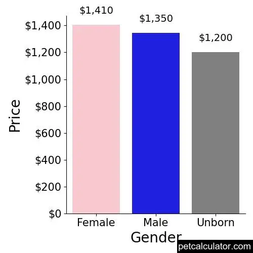 Price of American Bulldog by Gender 