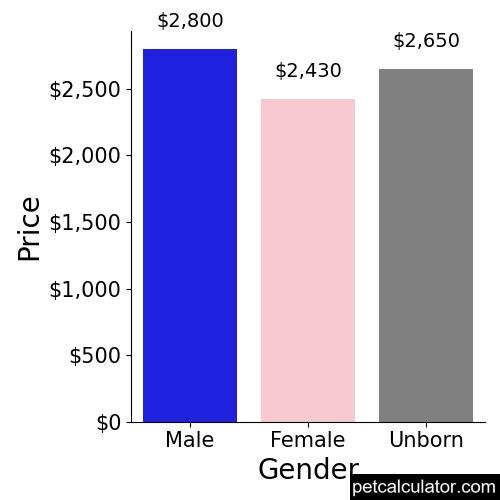 Price of American Bully by Gender 