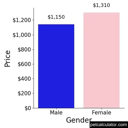 Price of American Eskimo Dog by Gender 