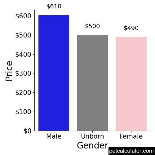 Price of American Foxhound by Gender 