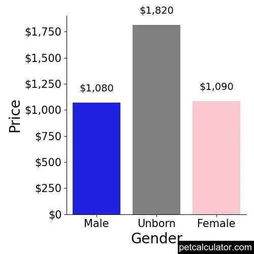 Price of American Staffordshire Terrier by Gender 