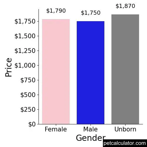 Price of Aussiedoodle by Gender 