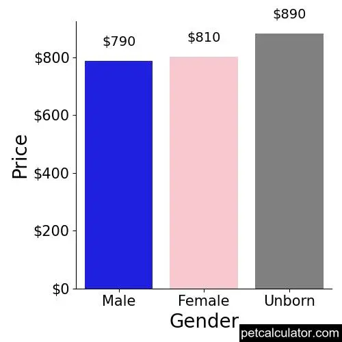 Price of Australian Cattle Dog by Gender 