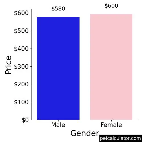 Price of Australian Kelpie by Gender 