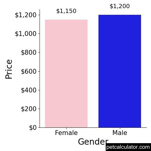 Price of Australian Koolie by Gender 