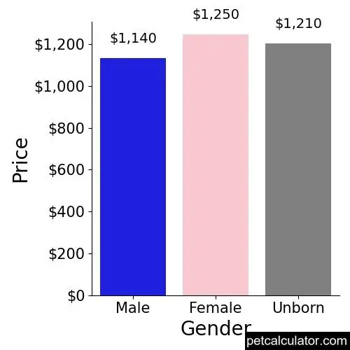 Price of Australian Shepherd by Gender 