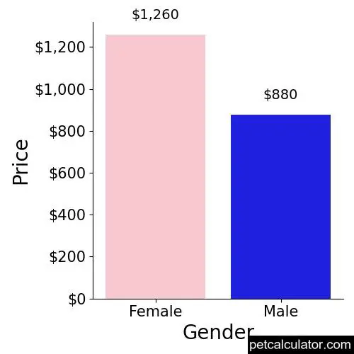 Price of Australian Terrier by Gender 