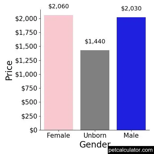 Price of Basenji by Gender 