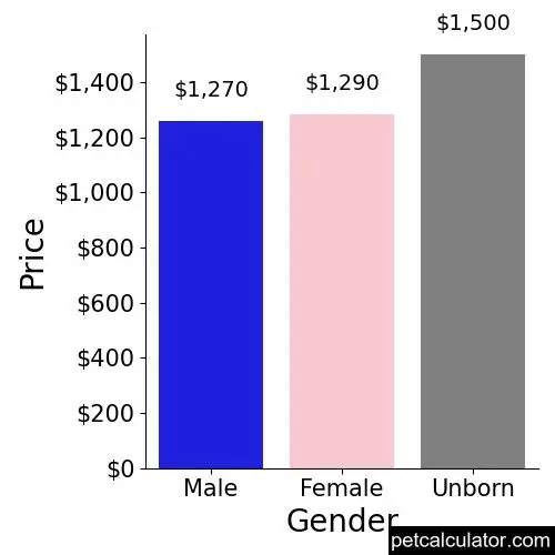 Price of Basset Hound by Gender 