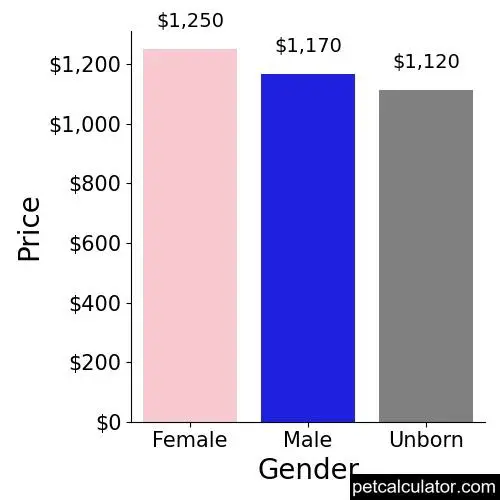 Price of Beagle by Gender 