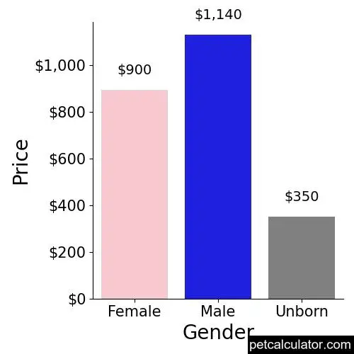 Price of Bearded Collie by Gender 