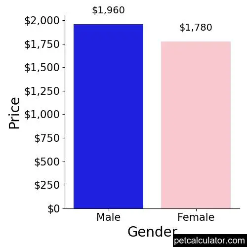 Price of Belgian Tervuren by Gender 
